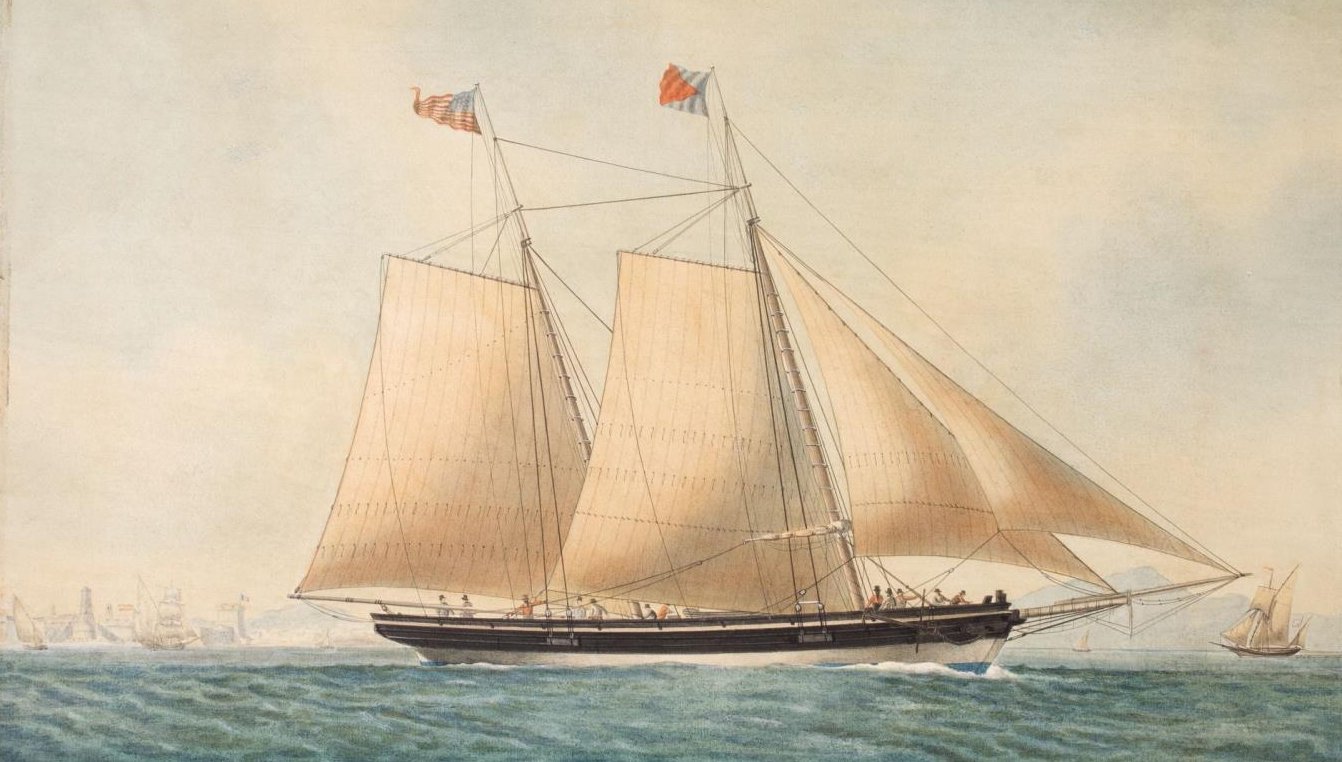 CBMM catalog image